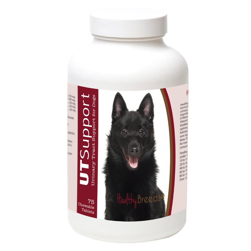 Schipperke Cranberry Chewables 75 Count