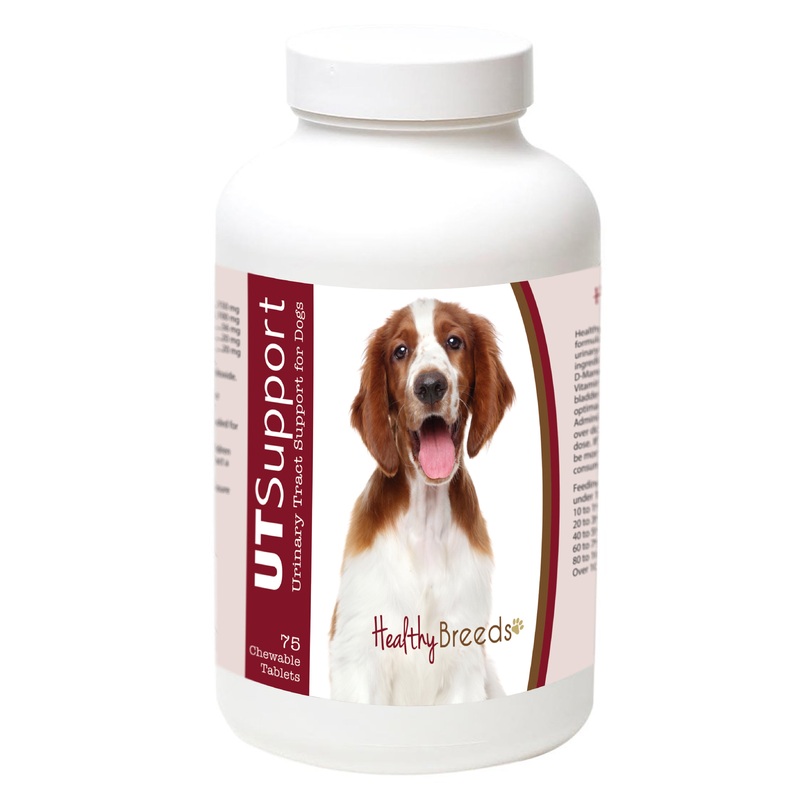 Welsh Springer Spaniel Cranberry Chewables 75 Count