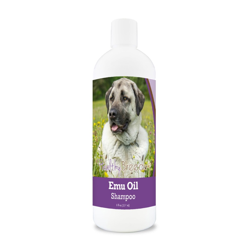 Anatolian Shepherd Dog Emu Oil Shampoo 8 oz