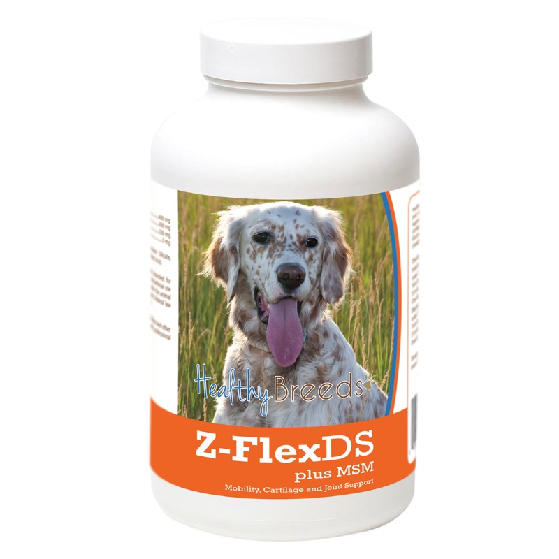 English Setter Z-FlexDS plus MSM Chewable Tablets 60 Count