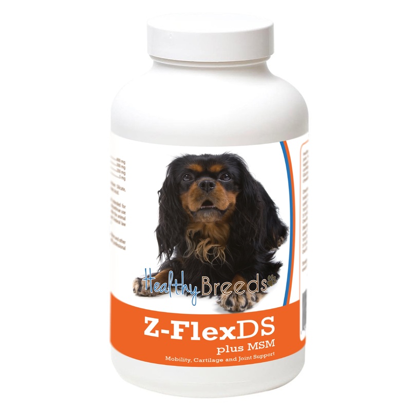 English Toy Spaniel Z-FlexDS plus MSM Chewable Tablets 60 Count