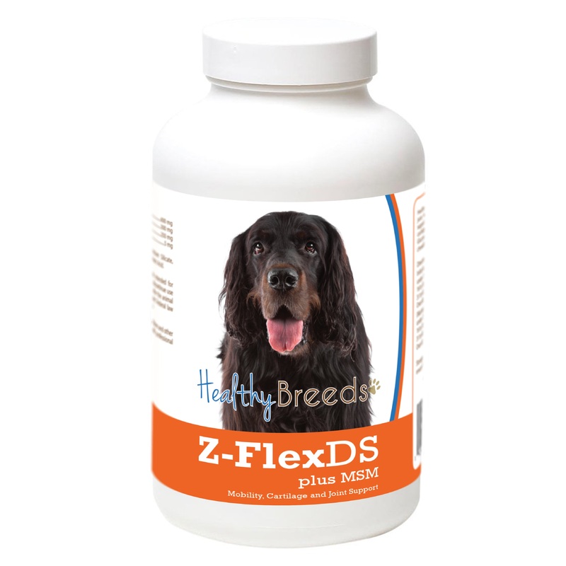 Gordon Setter Z-FlexDS plus MSM Chewable Tablets 60 Count