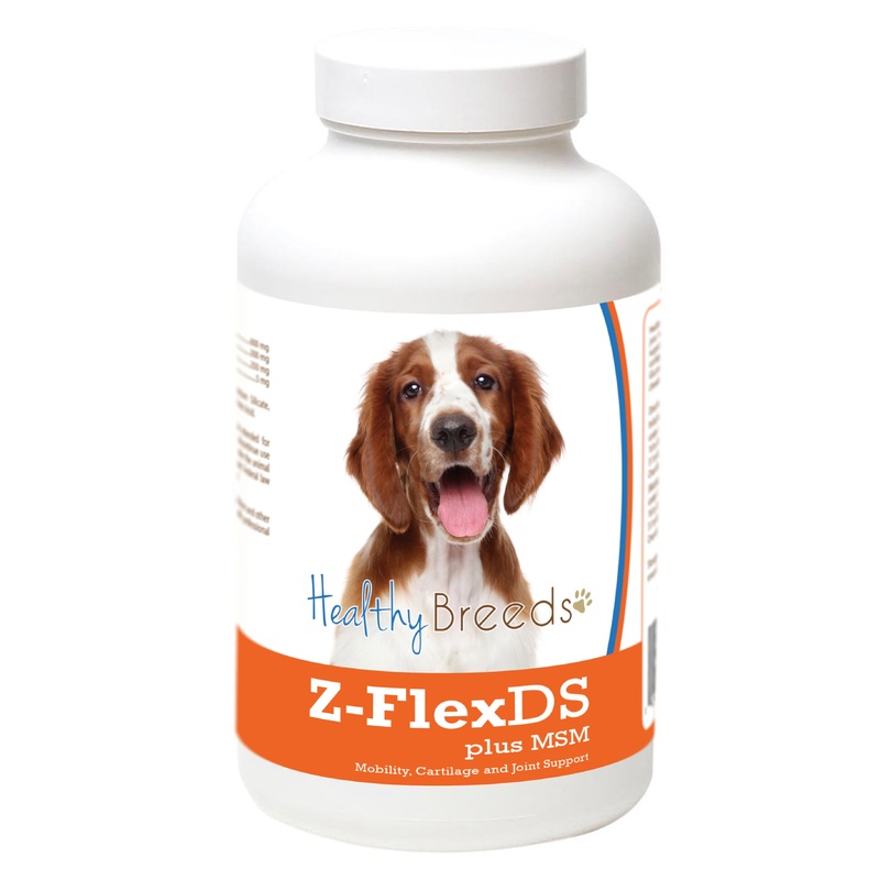 Welsh Springer Spaniel Z-FlexDS plus MSM Chewable Tablets 60 Count
