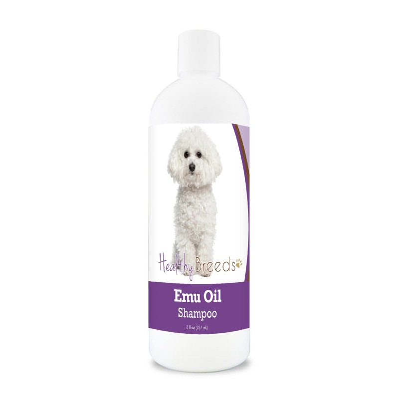 Bichon Frise Emu Oil Shampoo 8 oz