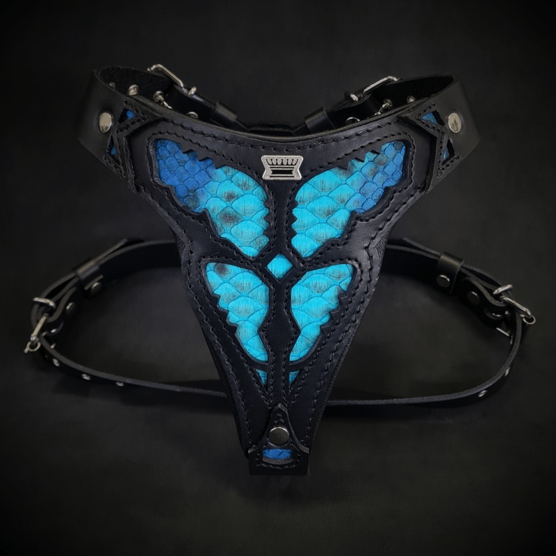 The ''Morelia Python'' harness Medium Size