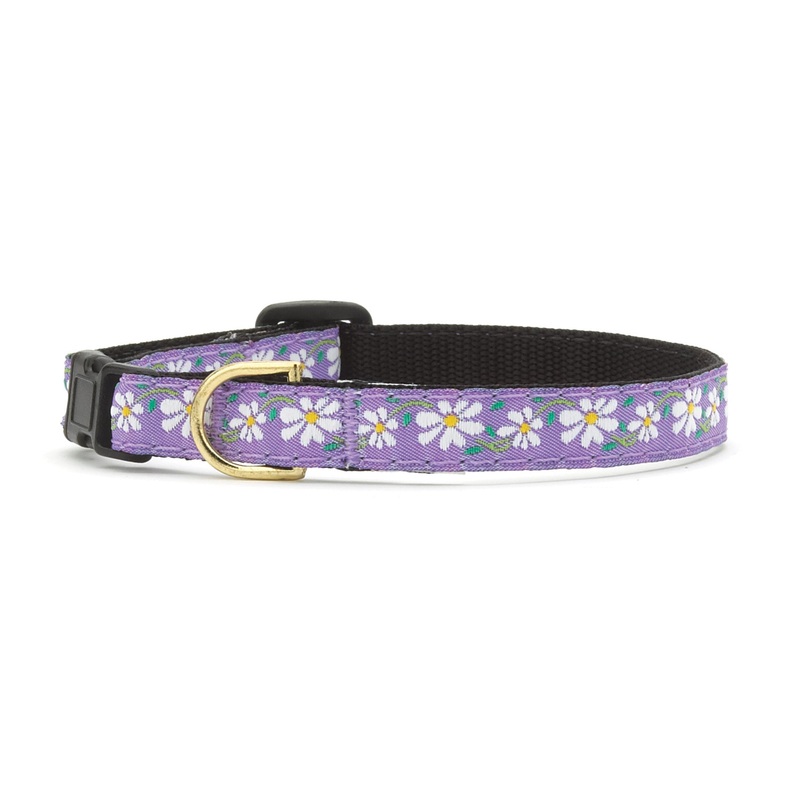 Daisy Small Breed Dog Collar