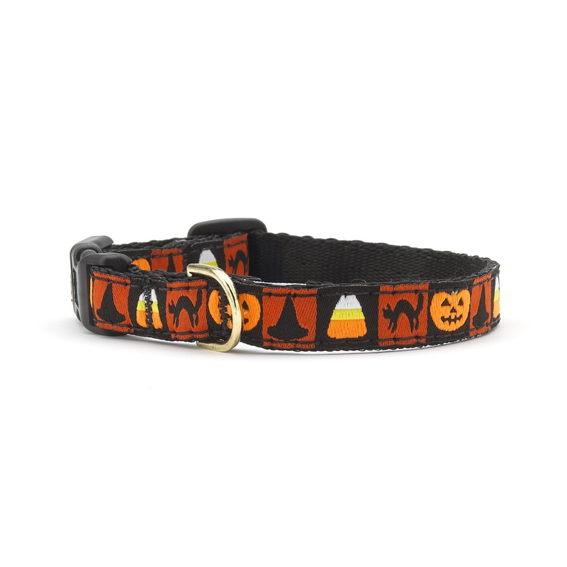 Halloween Small Breed Dog Collar