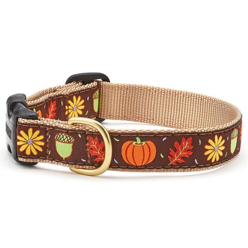 Harvest Time Dog Collar