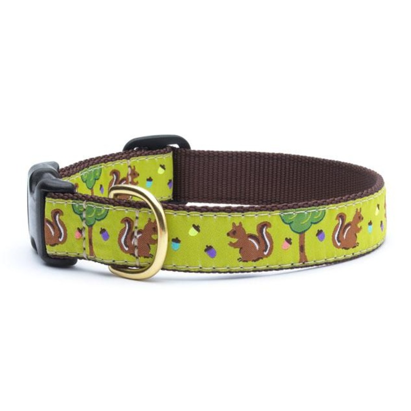 Nuts Dog Collar