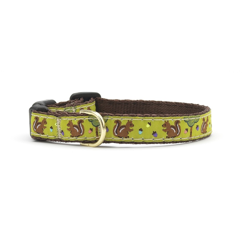 Nuts Small Breed Dog Collar