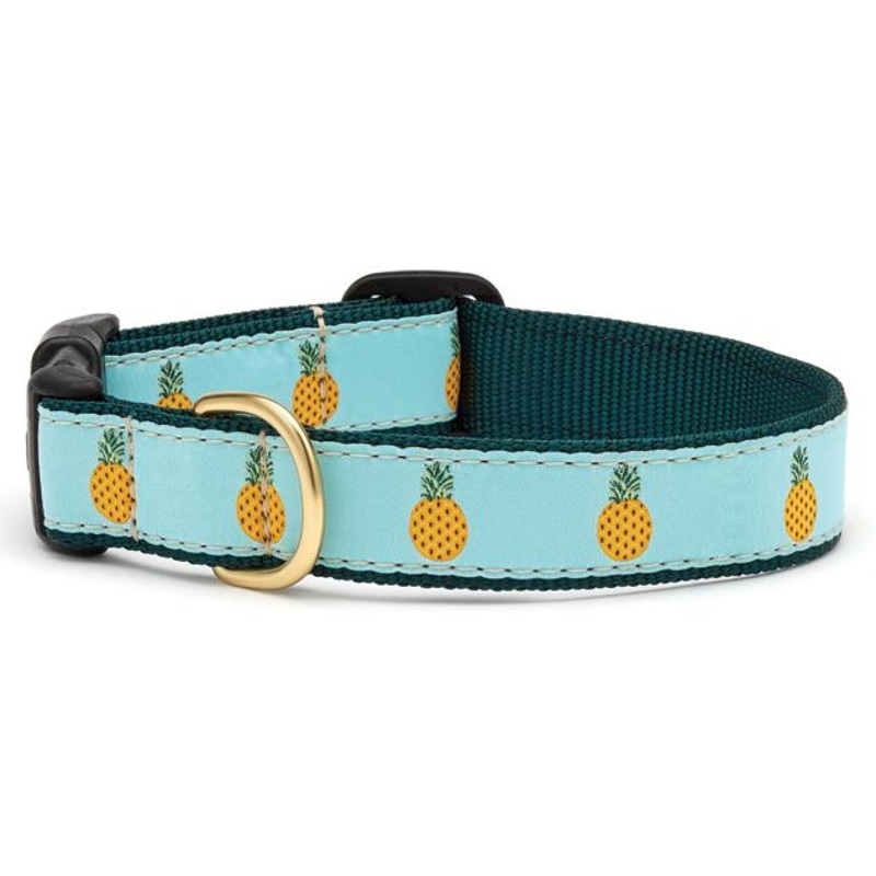 Pineapple Dog Collar