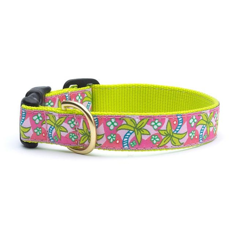 Pink Palms Dog Collar