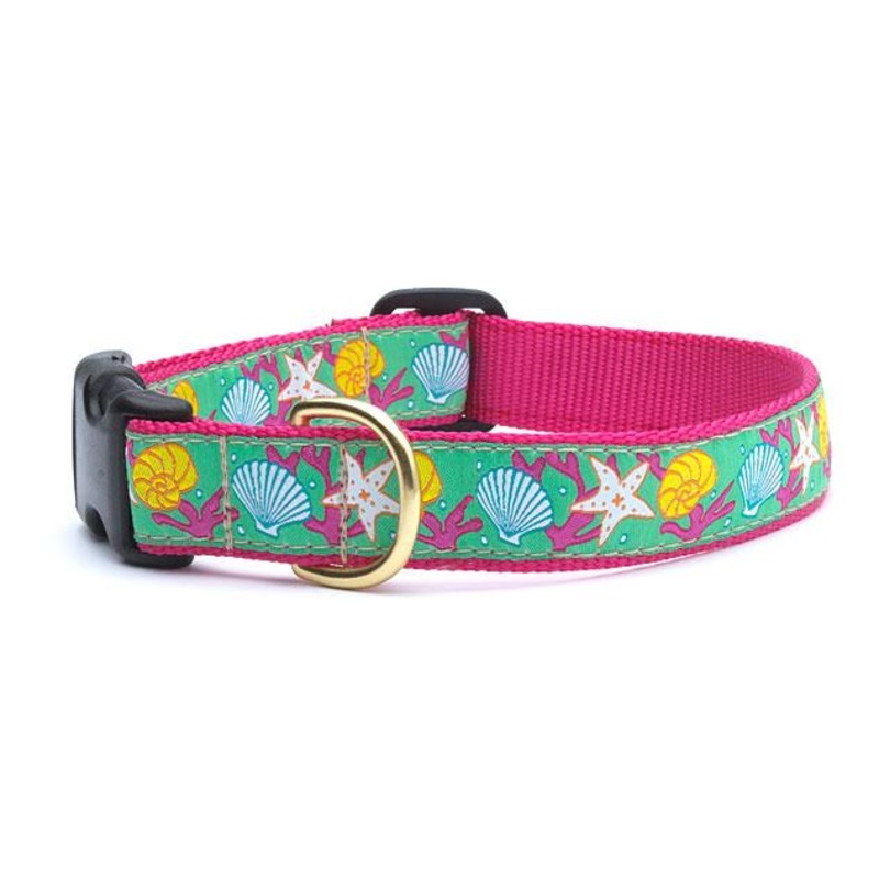 Reef Dog Collar