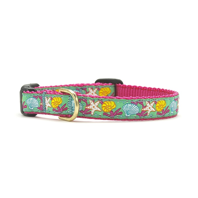 Reef Small Breed Dog Collar