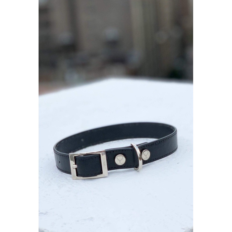 The Taylor Collar - Black Leather