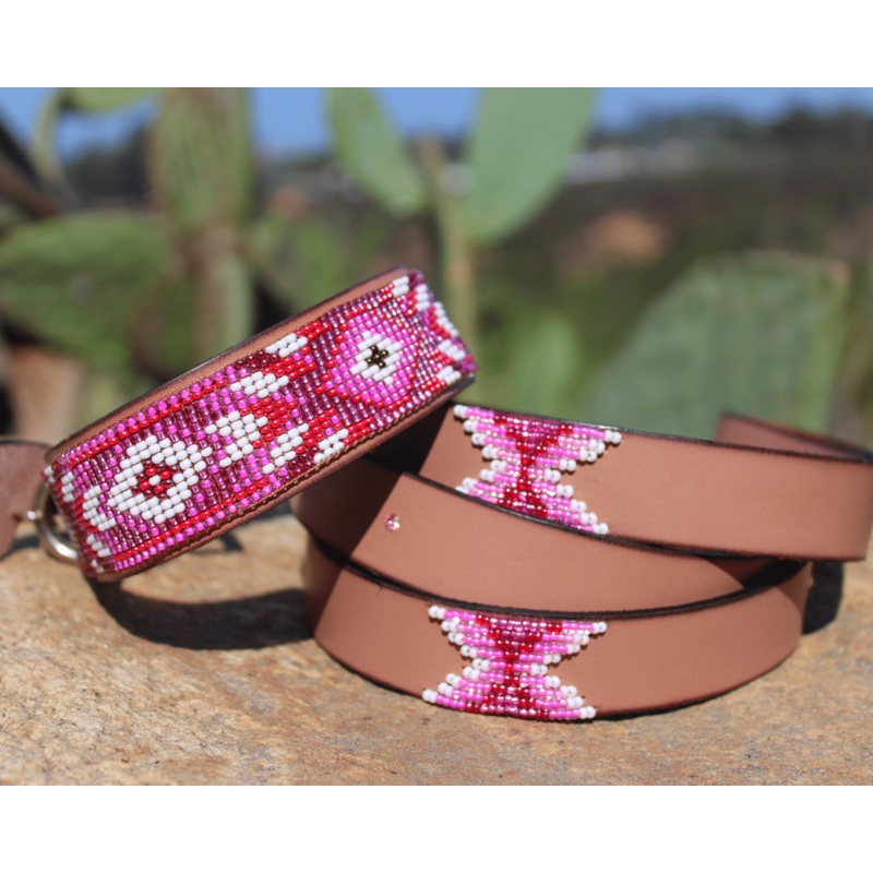 Matching leash/dog collar Melrose Sambboho Bundle