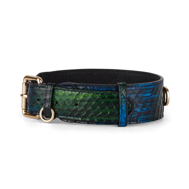 Blue, Green, Black, Yellow Snake Classic Collar