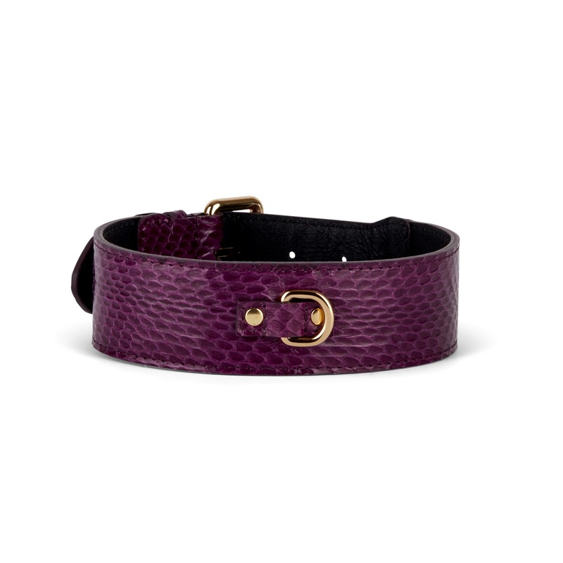 Eggplant Purple Snake Classic Collar