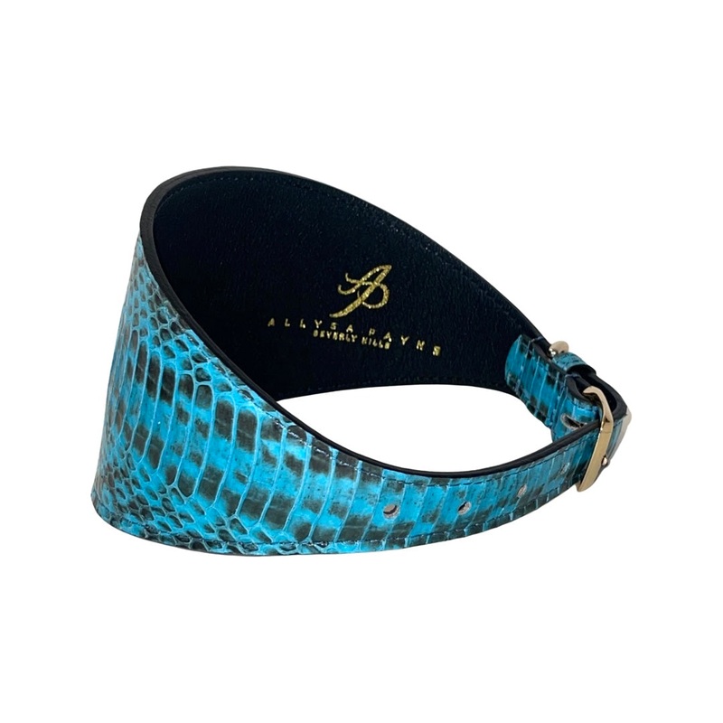 Turquoise & Black 4 Wide Style Collar