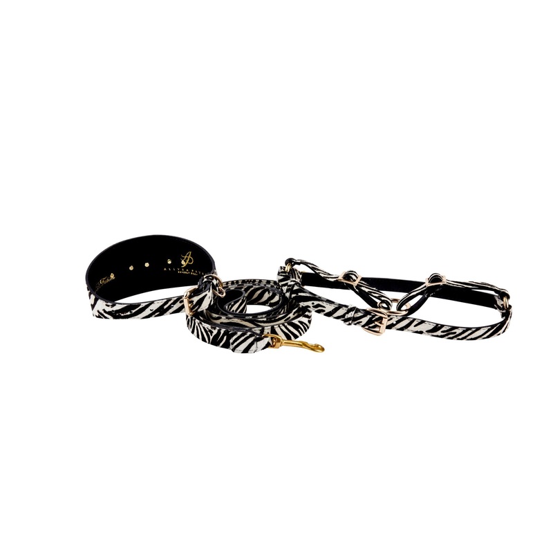 Zebra Print Hair On Hide Italian Leather 3 Wide Collar With Gold Starfish, Leash & Harness Set