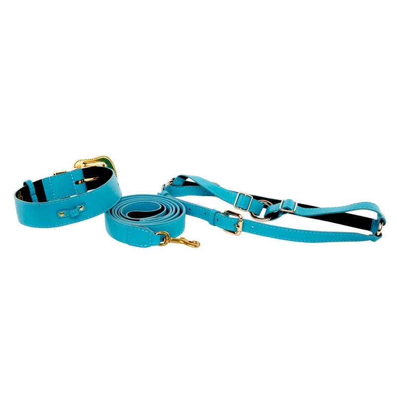 Aqua Blue Italian Leather/Swarovski Crystal Collar, Leash, Harness Set