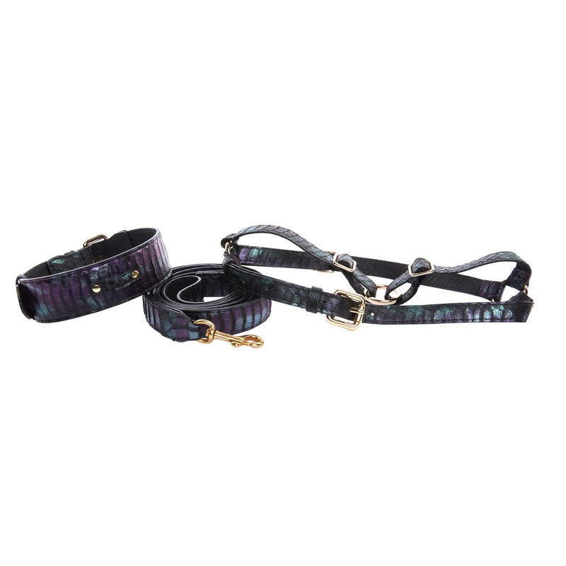Black, Green, Purple Snake Classic Collar, Leash, Harness Set