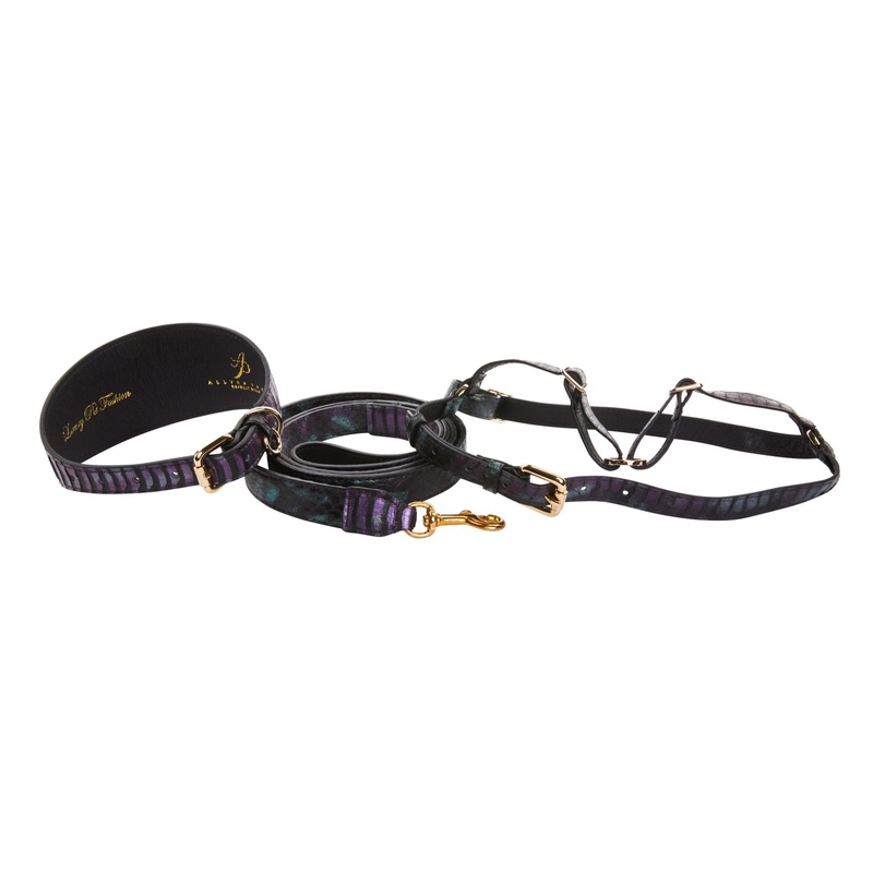 Black, Green, Purple Snake Wide Style Collar, Leash, Harness Set