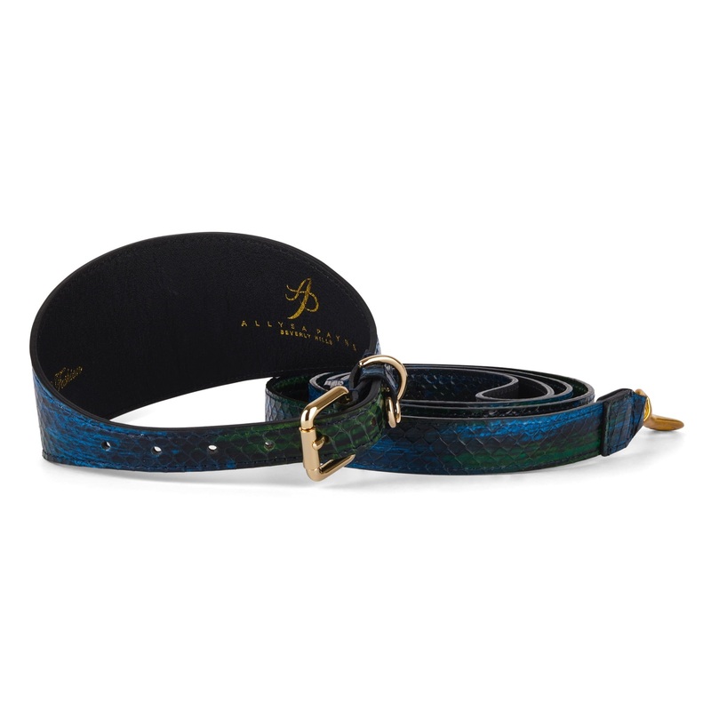 Blue, Green, Black, Yellow Snake 3 Wide Style Collar