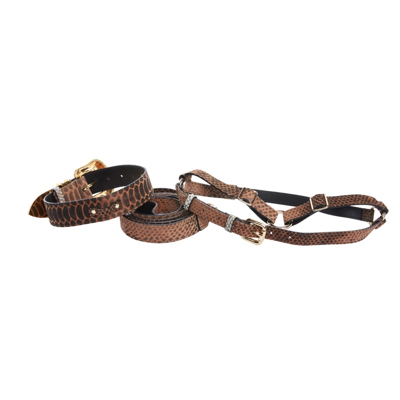 Brown/Black Embossed Snake Italian Leather Collar With Swarovski Crystal Hardware Leash & Harness Set