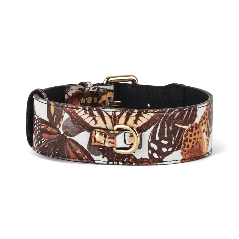 Butterfly Print Italian Leather Classic Collar