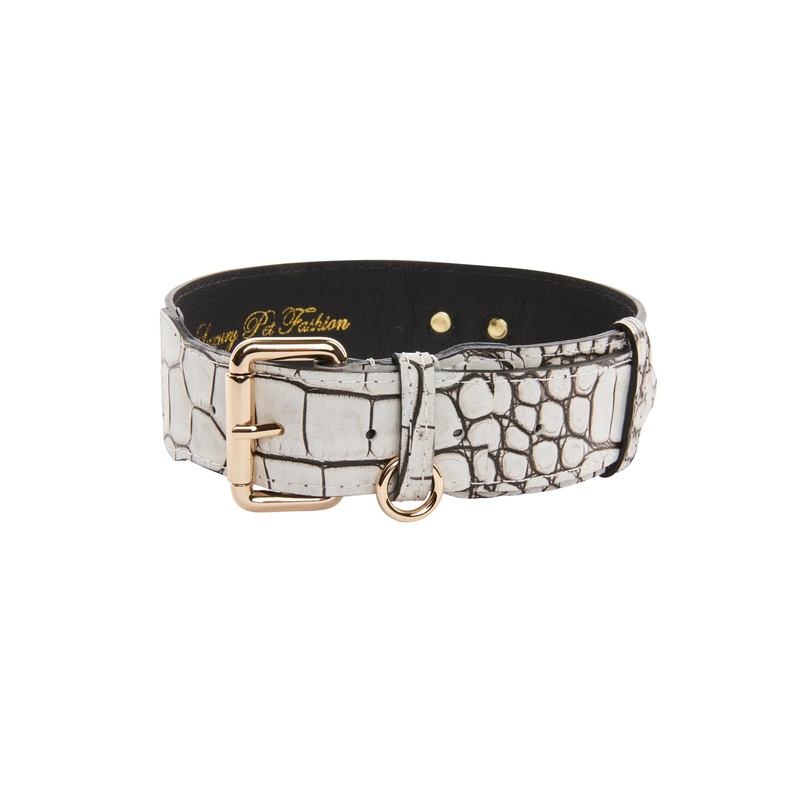 Dark Brown/Off White Embossed Croc Italian Leather Classic Collar With Gold Classic Hardware