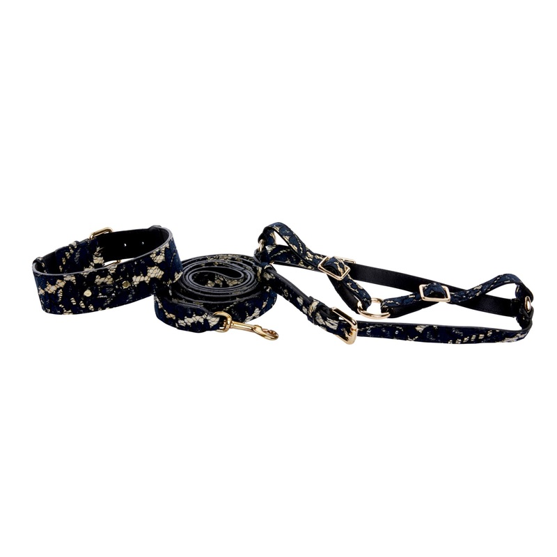 Dark Navy Lace On Gold Italian Leather Classic Collar, Leash & Harness Set