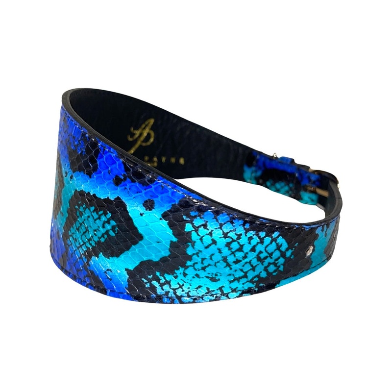 Electric/Turquoise Blue & Black Custom Snake 4 Wide Style Collar