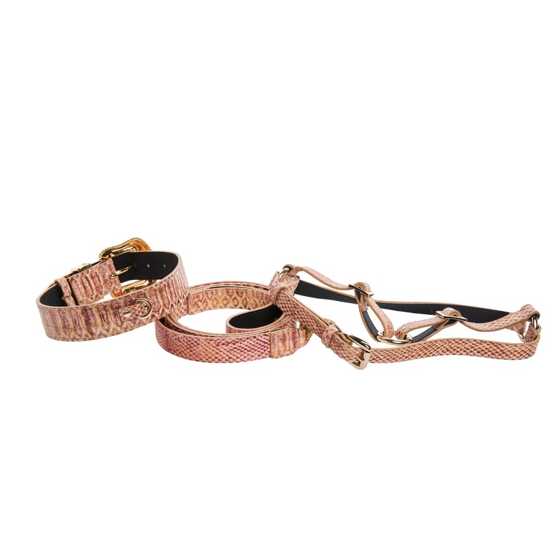 Embossed Snake Italian Leather/Swarovski Crystal Buckle Collar, Leash, Harness Set