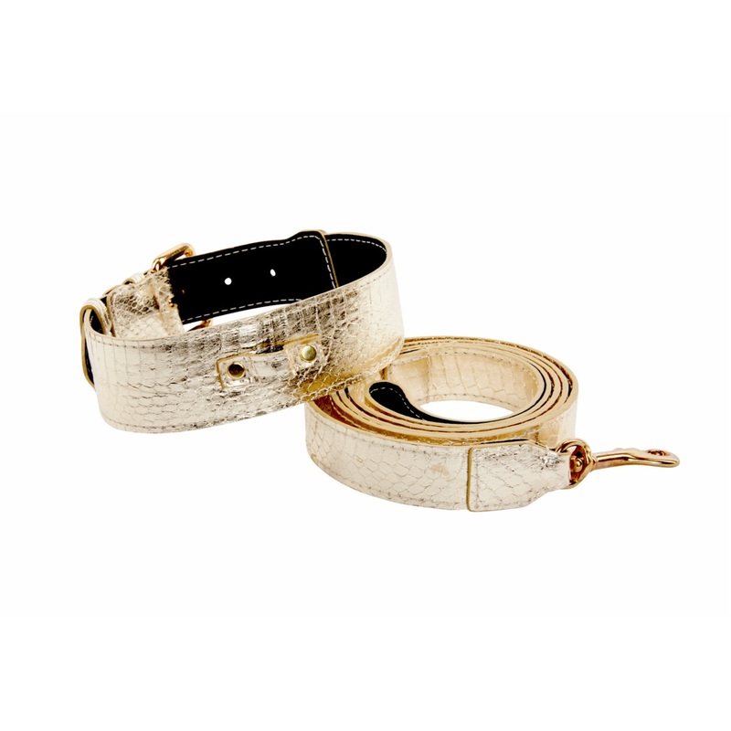 Gold Snake Collar & Leash Set With Classic Hardware