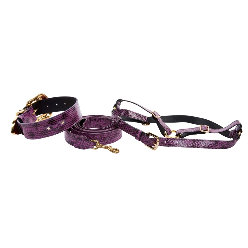 Purple & Black Viper Snake Swarovski Collar, Leash, Harness Set