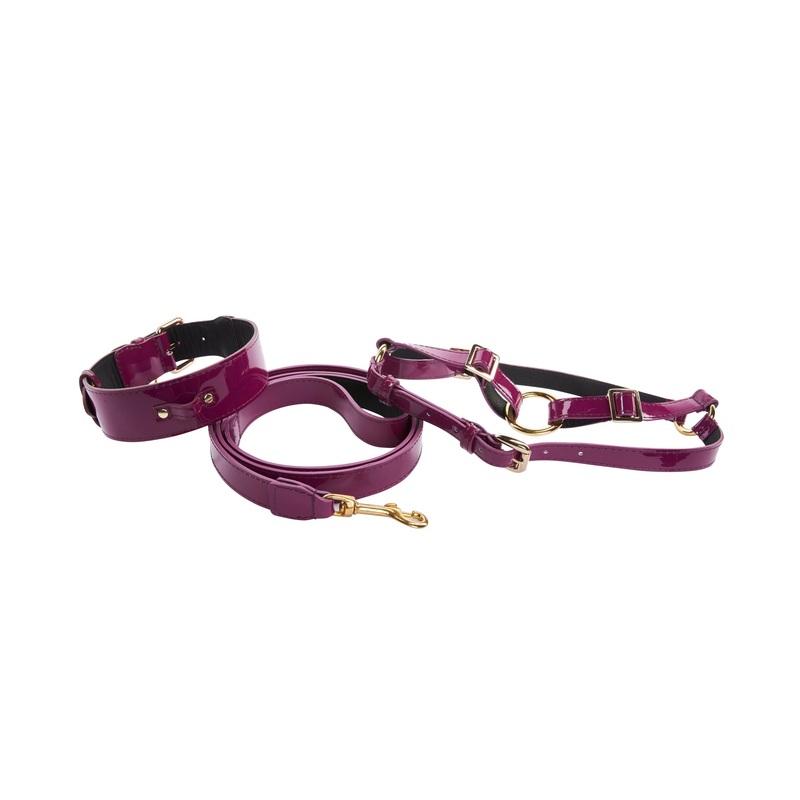 Purple Patent Italian Leather/Classic Hardware Collar, Leash, Harness Set