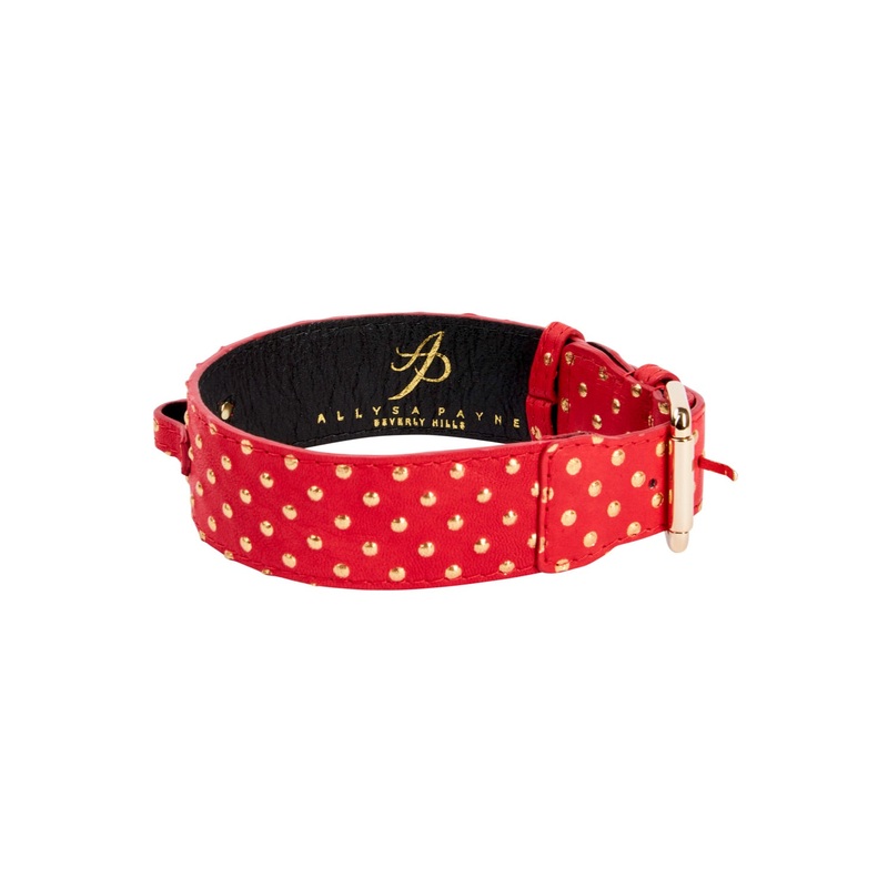 Red & Gold Polka Dot Italian Leather Classic Collar