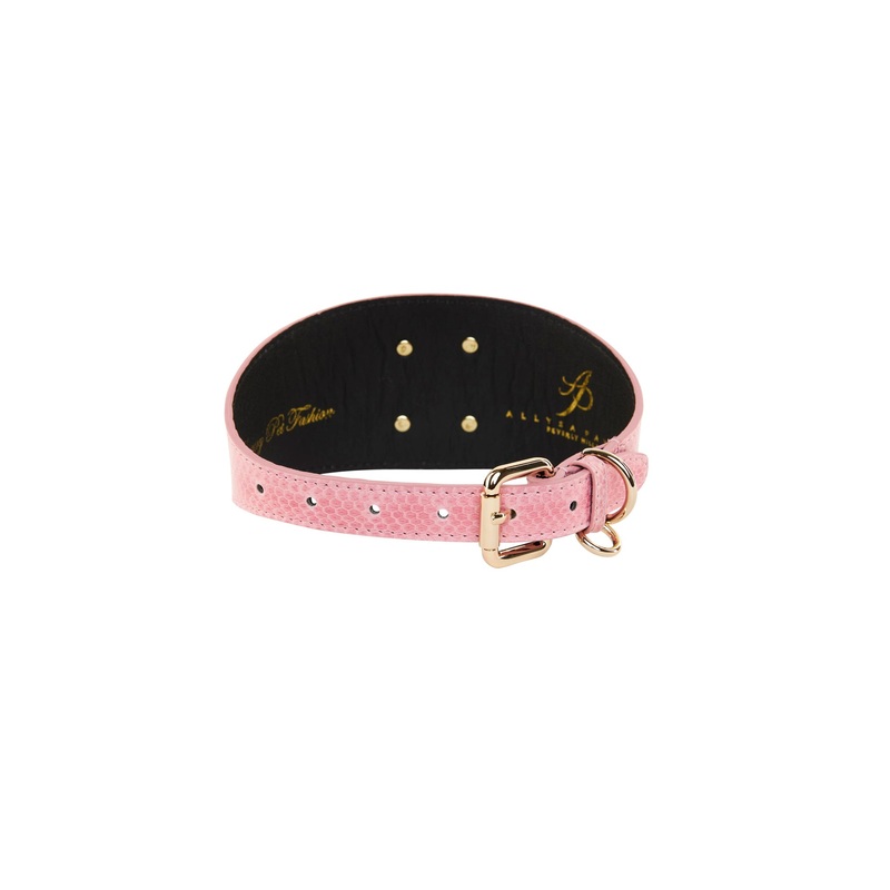 Soft Pink Snake 3 Wide Style Collar With Custom Large Gold Rivet