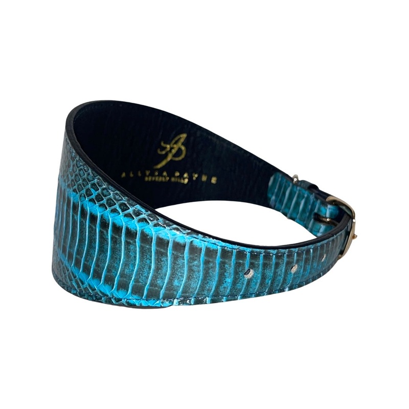 Turquoise & Black 3 Wide Style Collar