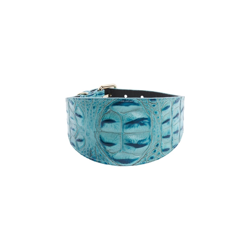 Turquoise Embossed Croc Italian Leather 3 Wide Style Collar