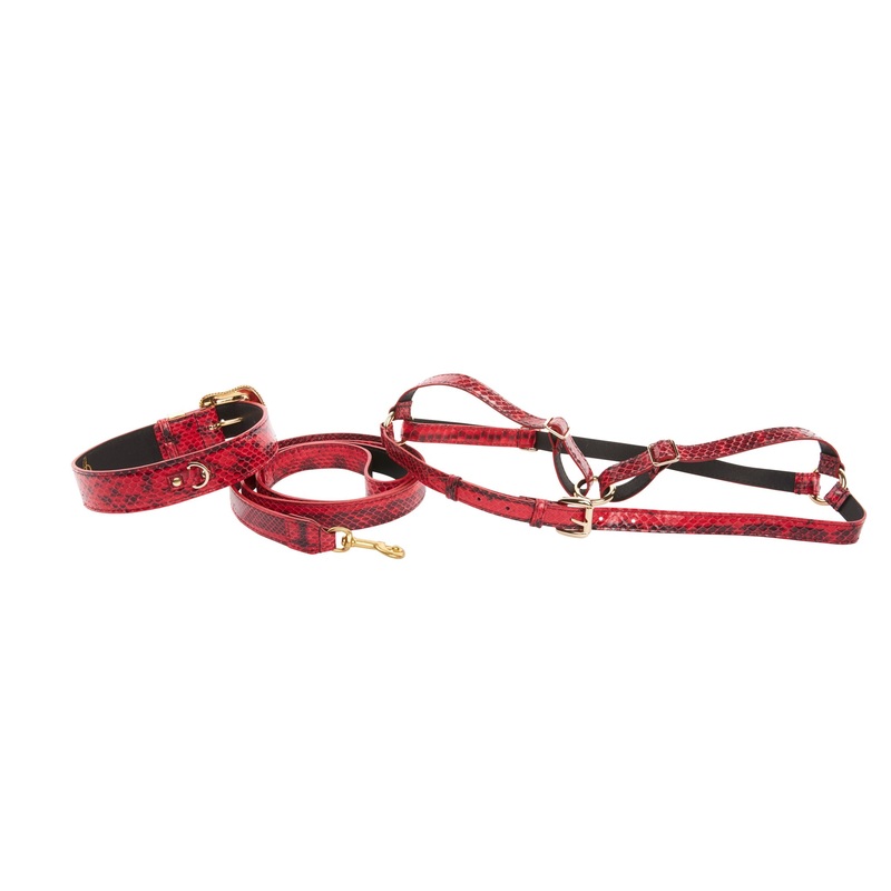 XL Red & Black Snake, Swarovski Crystal Collar Leash Harness Set