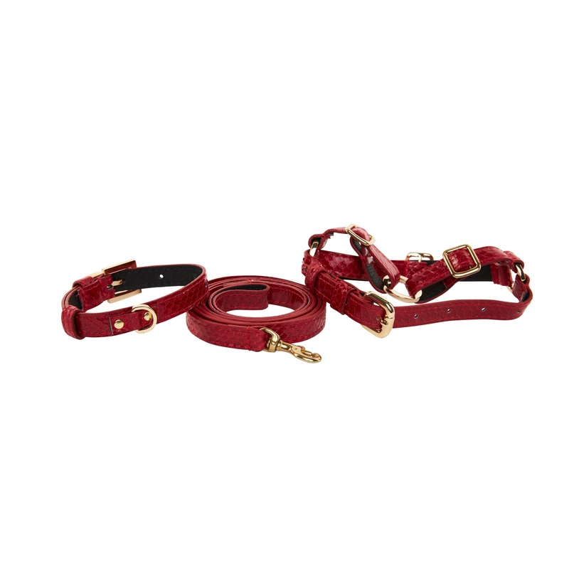 XS Red Viper Snake Collar, Leash, Harness Set