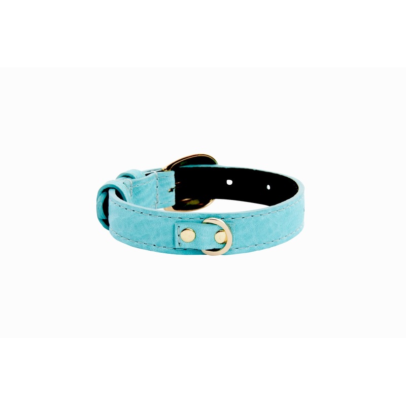 XS Turquoise Blue Italian Leather Collar With Gold Oval Buckle