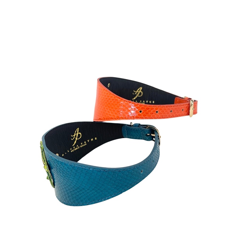 Alligator Collar Set Of Two