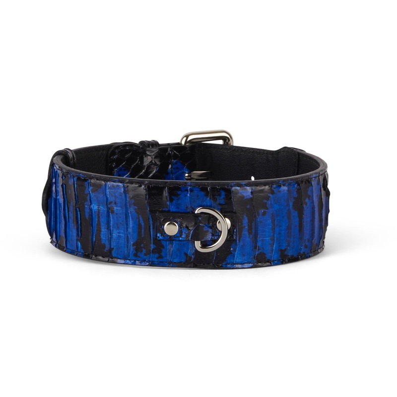 Black and Royal Blue Snake 3 Wide Style Collar