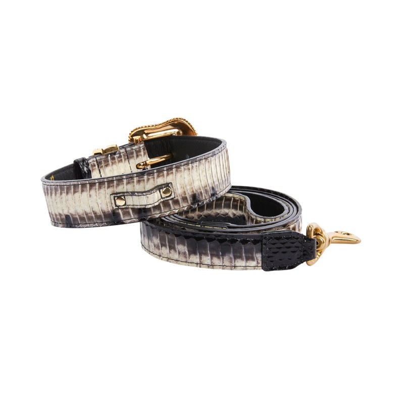 Off White/Black Snake With Gold Swarovski Crystal Hardware Collar & Leash Set