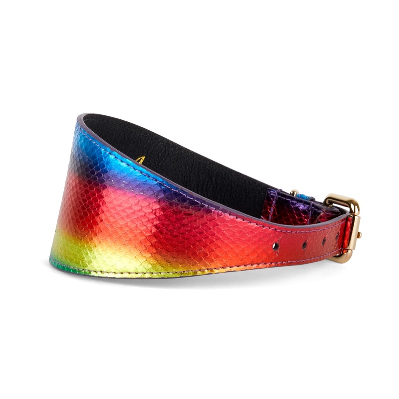 Rainbow Snake 3 Wide Style Collar