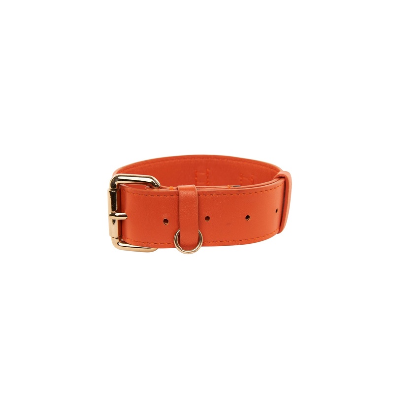 Small Orange Italian Leather Classic Collar