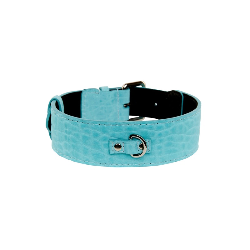 Turquoise Blue Distressed Italian Leather Classic Collar